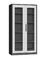 Color gris oscuro y blanco H1850XW900XD400mm de la puerta del oscilación del gabinete de almacenamiento abierto de cristal proveedor